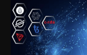 What Are the Most Popular Blockchain Platforms?
