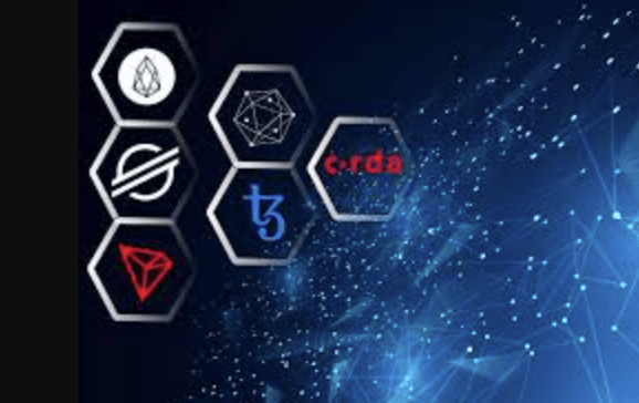 What Are the Most Popular Blockchain Platforms?